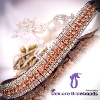 Crystal Apricot Browband on English Sedgwick Leather