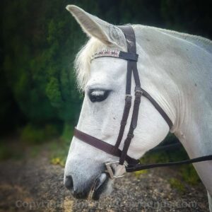 How stunning does this browband look on this grey Connemara pony ridden by one of our lovely customers!Browband by Unicorn Browbands