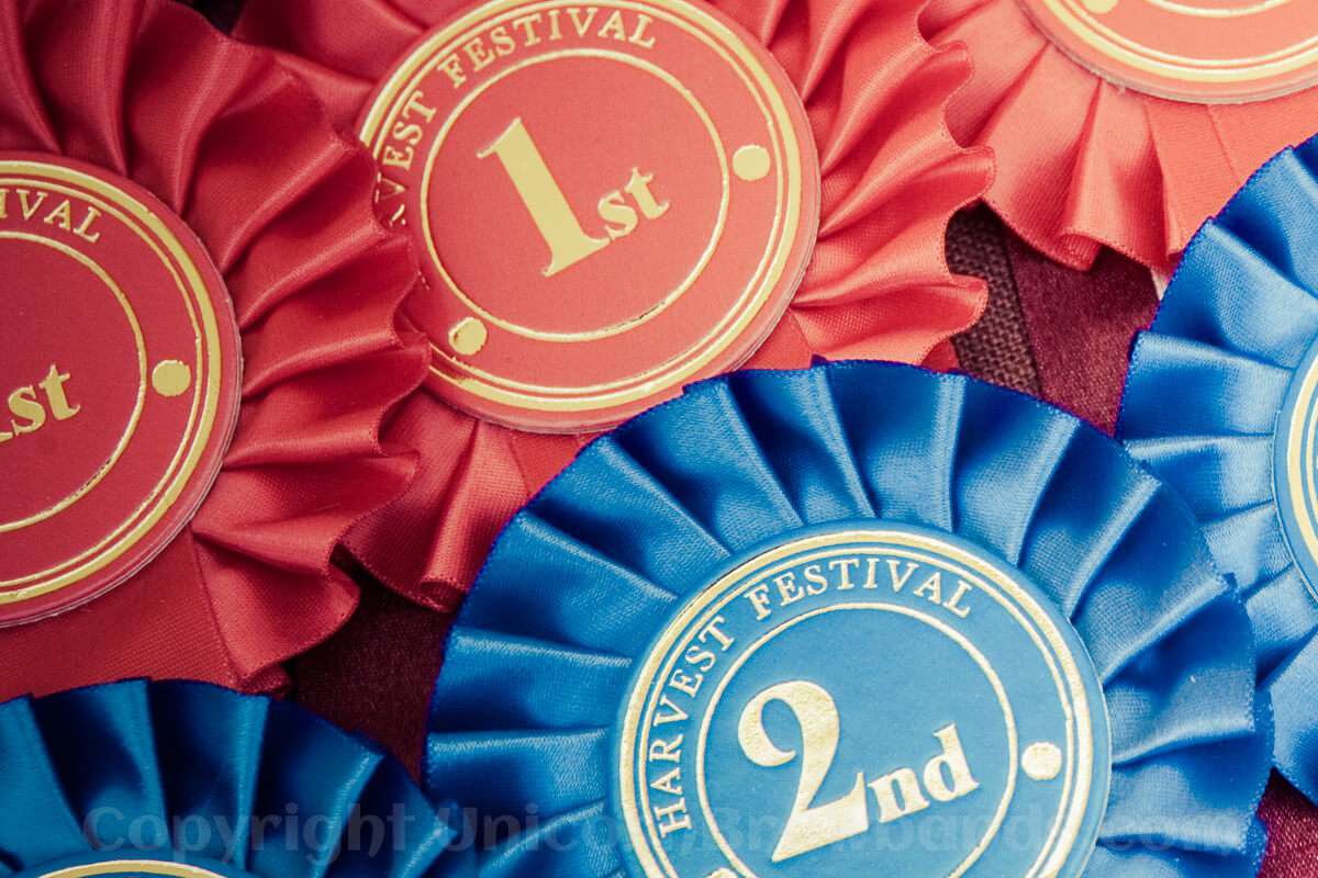 1st & 2nd place rosettes | Unicorn Browbands | Bling Browbands