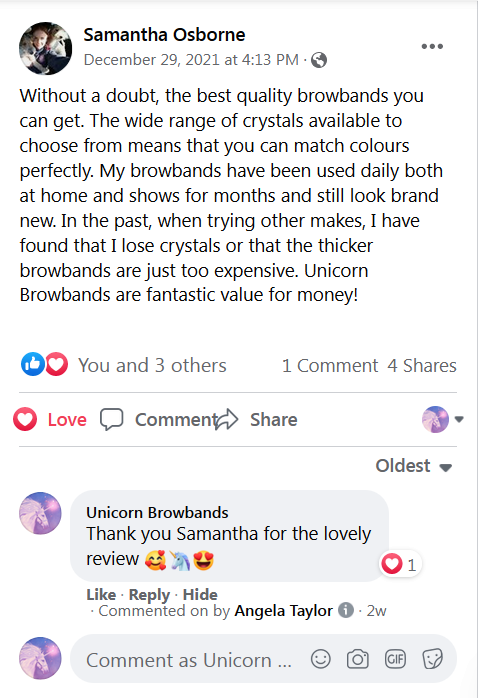 Review from a customer for a Unicorn Browbands luxury crystal browband